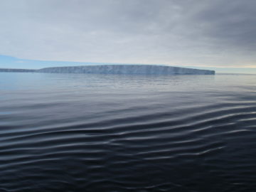 A body of water.