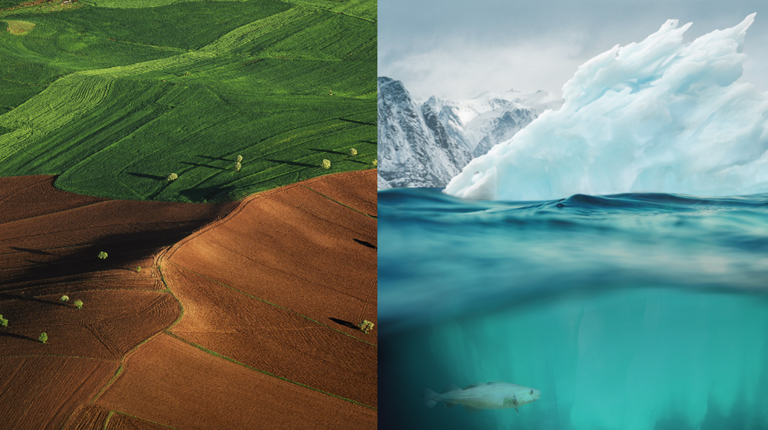IPCC report image