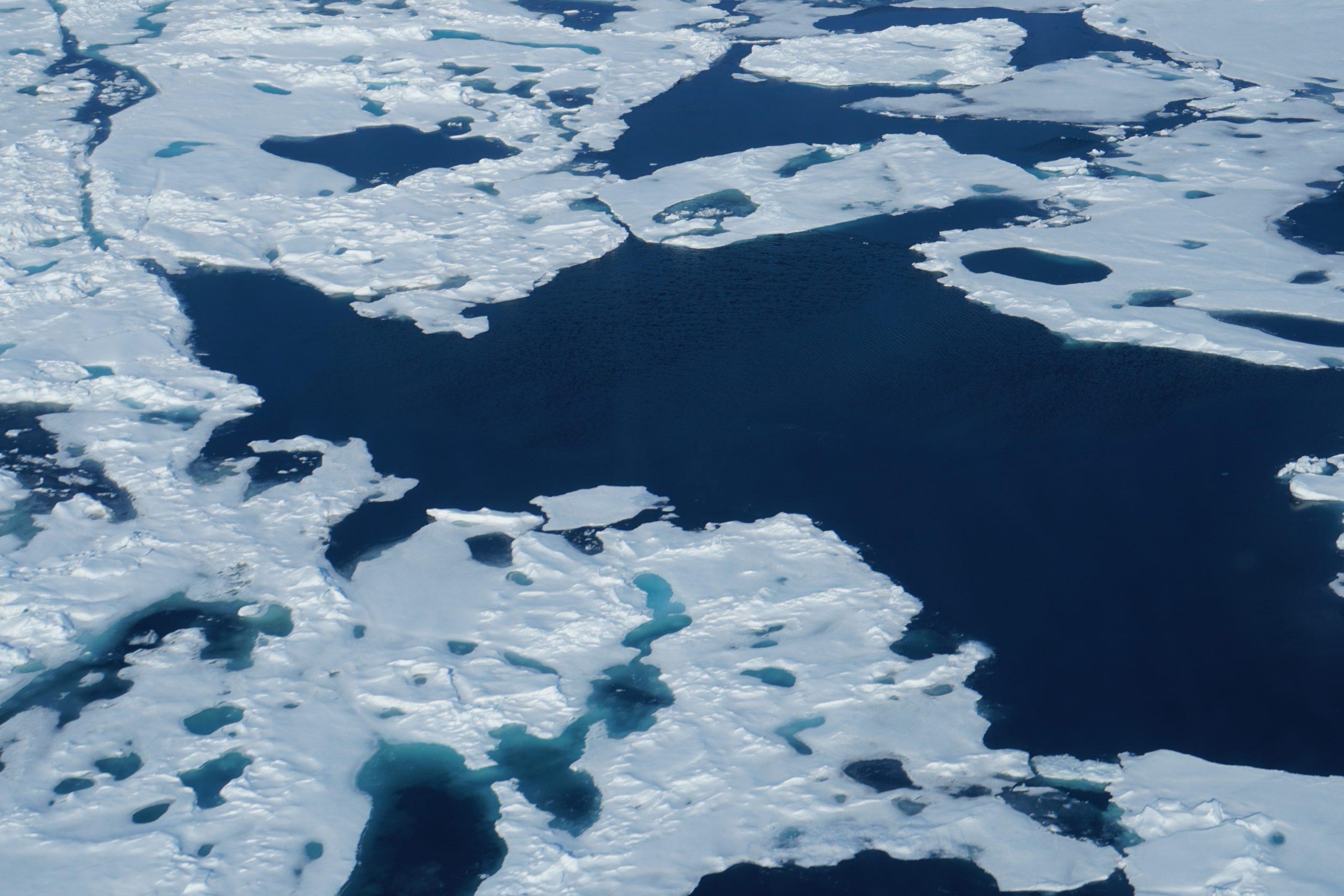 Ice on water in a melt pond