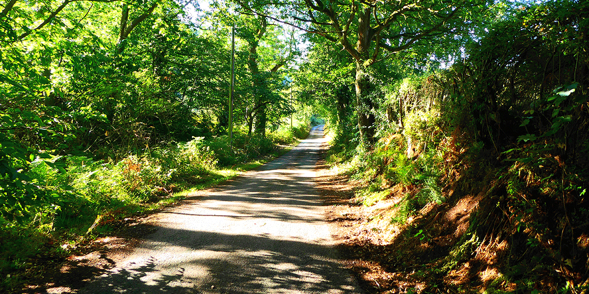 Greendale Lane