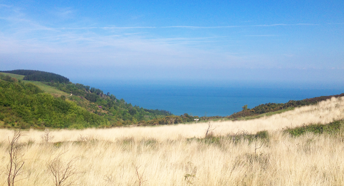 Exmoor
