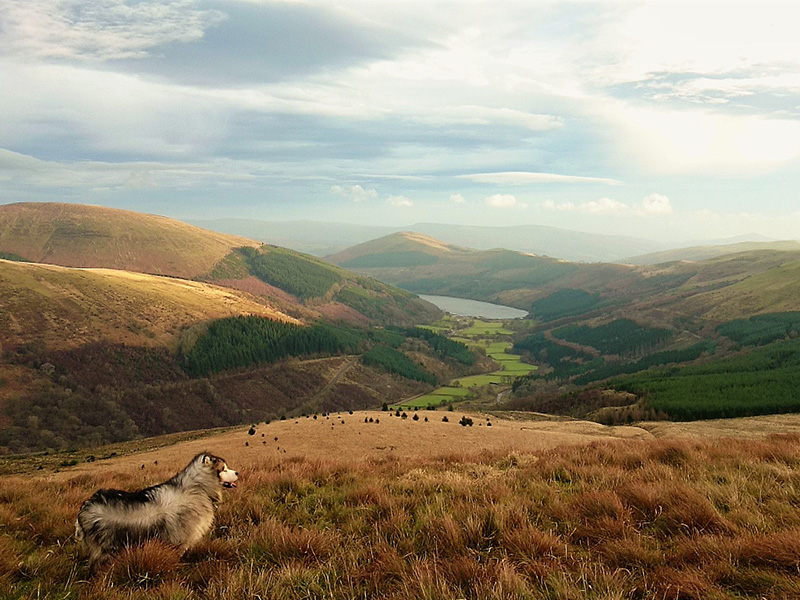 views on the beacons way