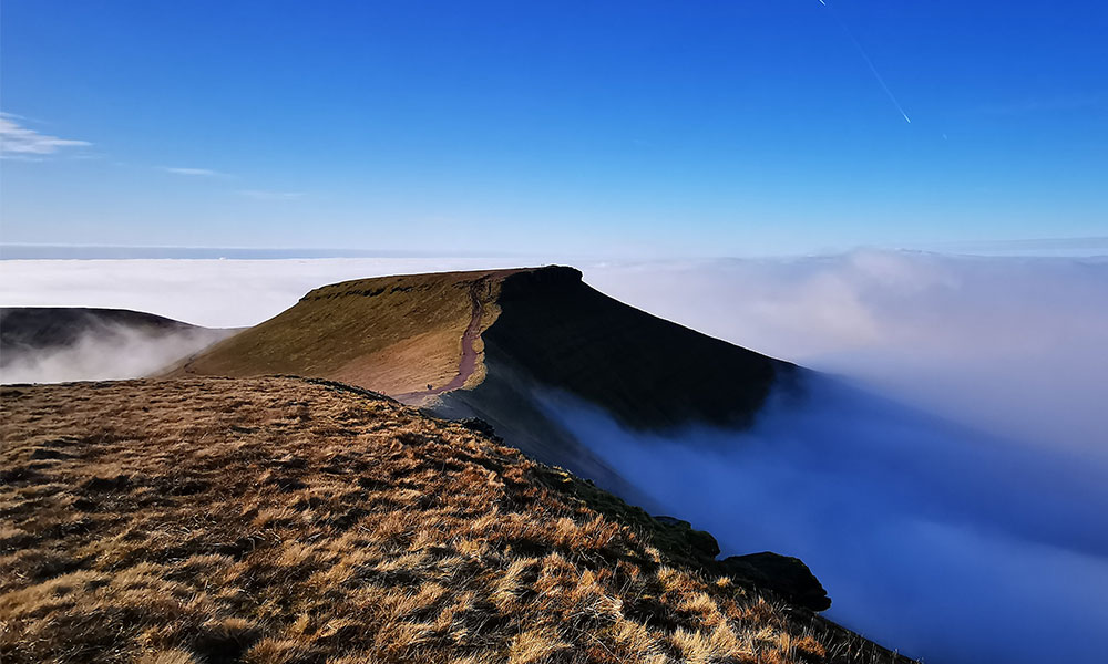 The Cambrian Way