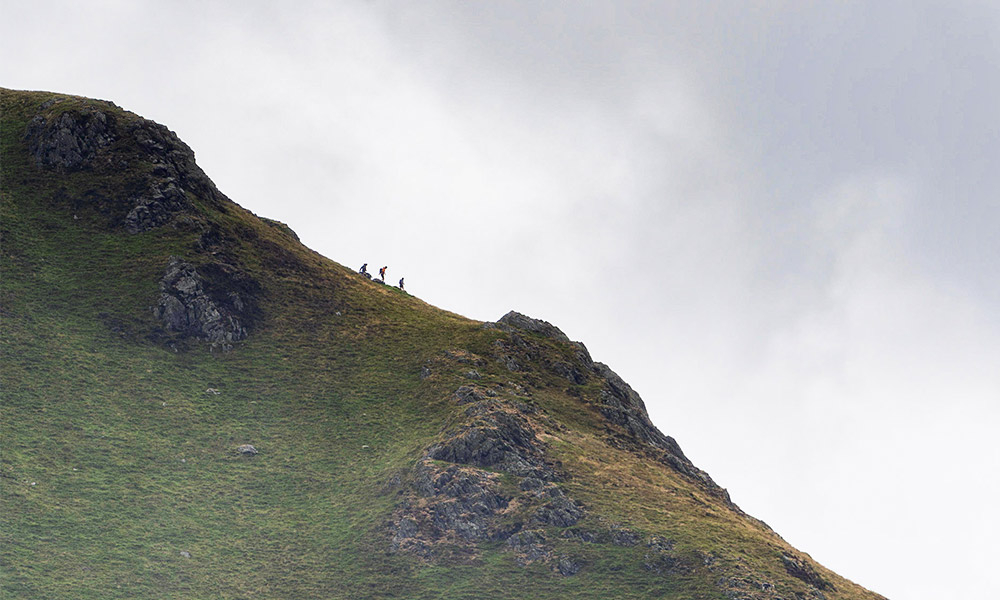 Descending Whiteless Pike