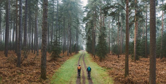 NESO- two cyclists cycling through single track road with wooded area each side