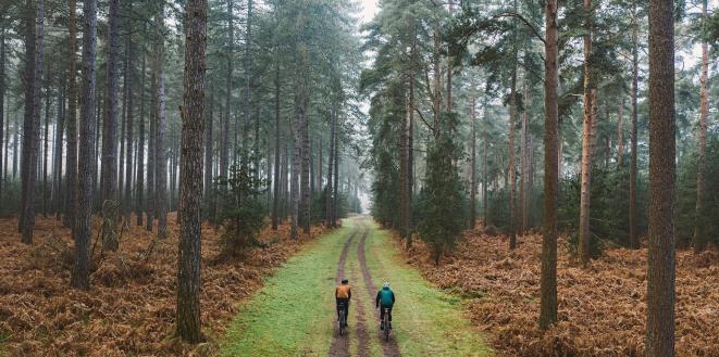 NESO- two cyclists cycling through single track road with wooded area each side