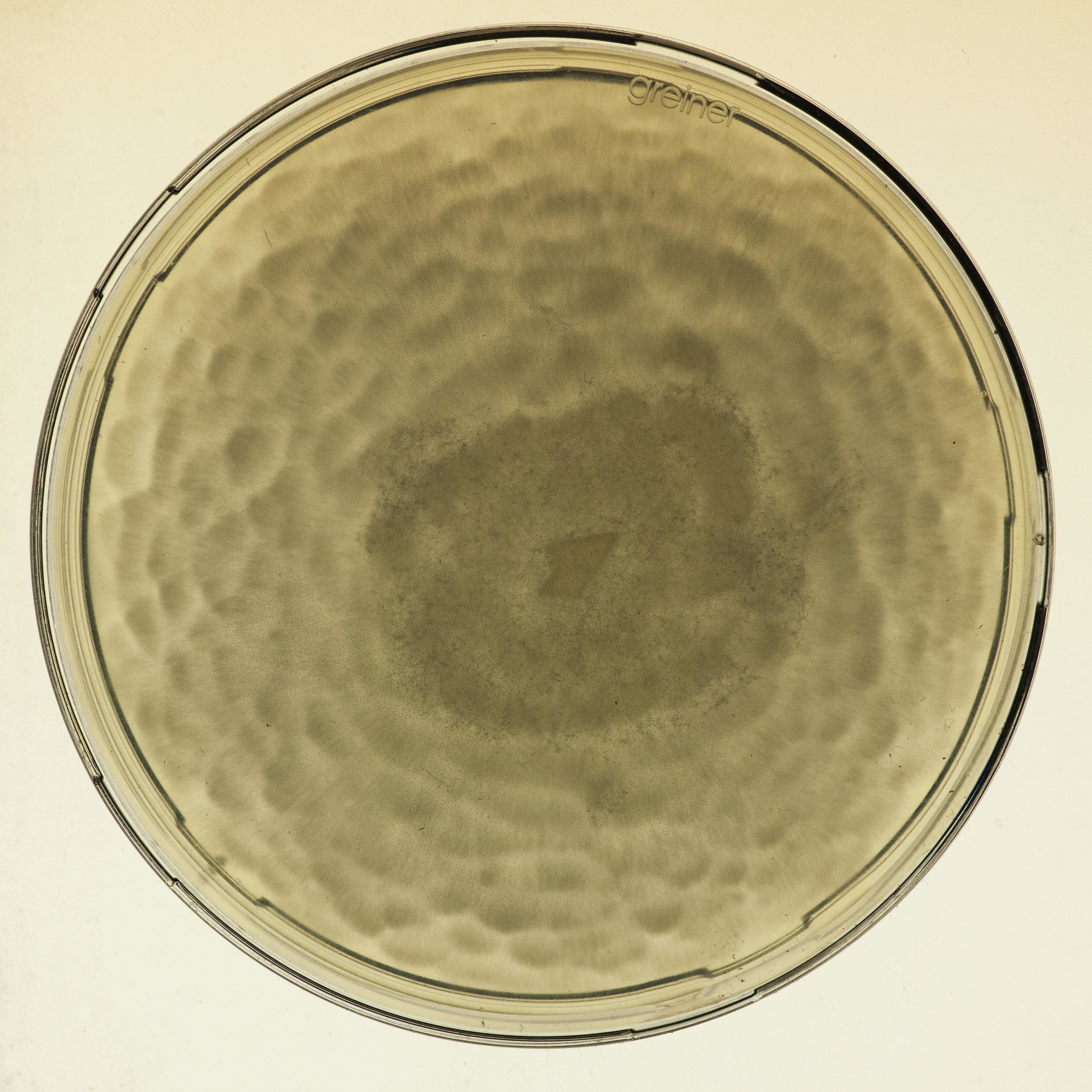 A close up of a bowl.