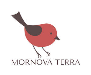 Image for mark UK00004204352 MORNOVA TERRA