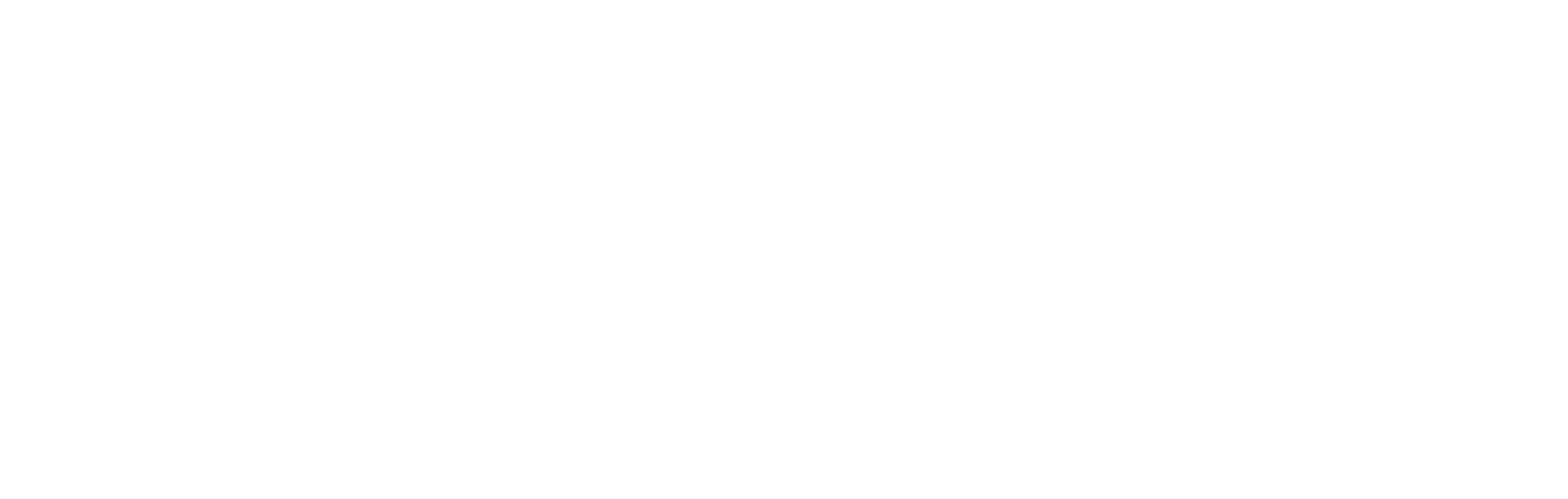 The image is a logo that displays the text 
