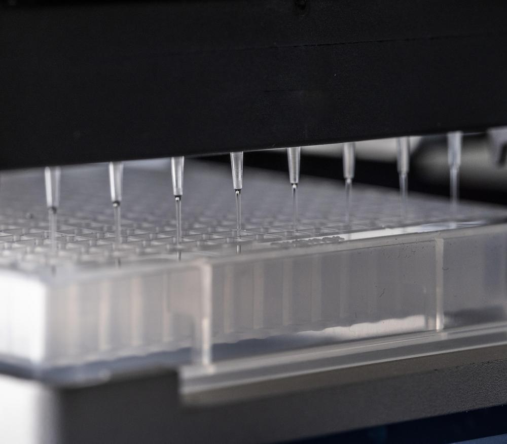 Chemical Protein Stability Assay
