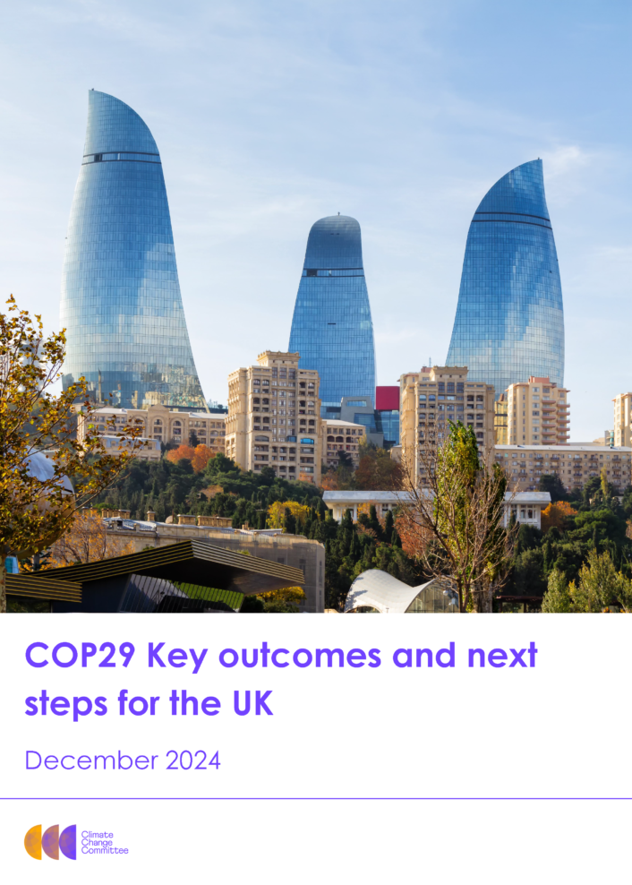 COP29: Key outcomes and next steps for the UK