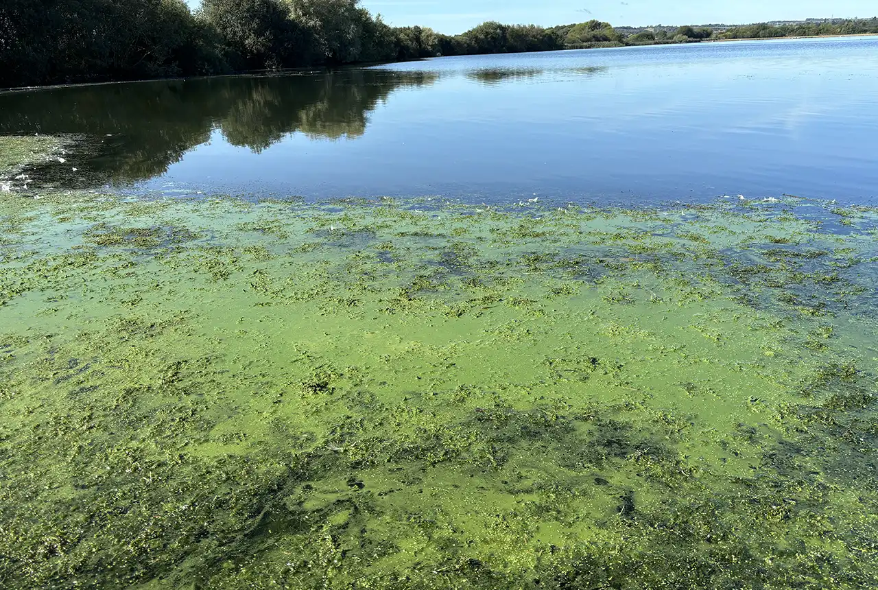 Private photo taken of Lagoon at Rutland Water.