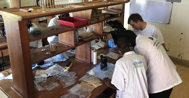 Lab training