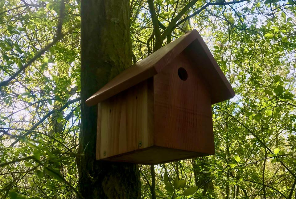 birdbox_web