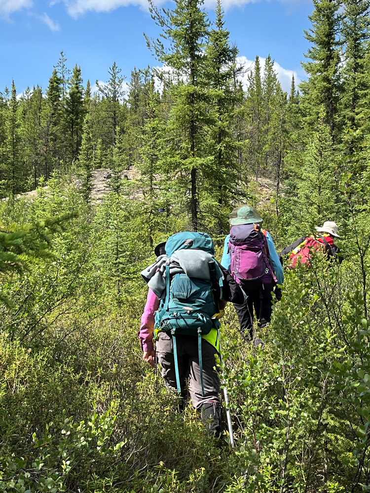 Outcrop hunting in the boreal forest at Fraser Lakes.