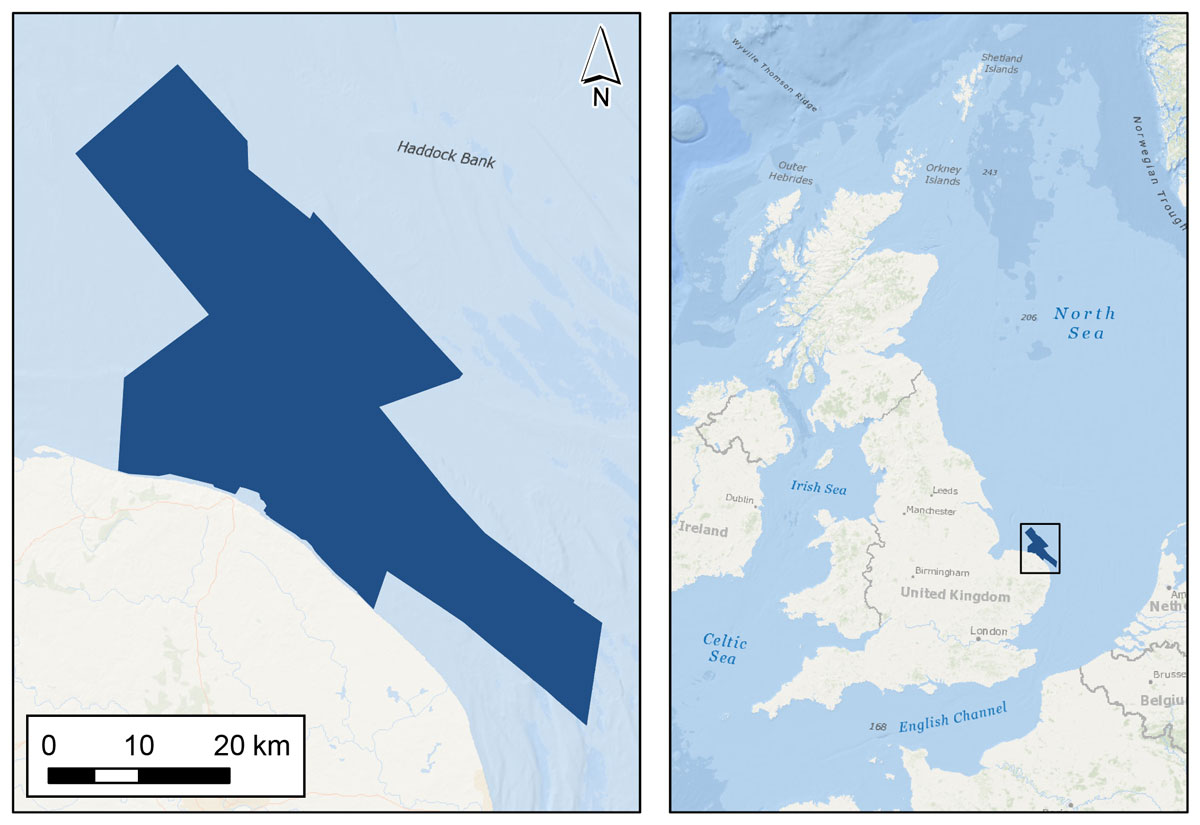 Coverage of BGS Seabed Geology 10k: East Anglia map shown in dark blue. Background image from World Ocean Base dataset compiled by Esri, Garmin, GEBCO, NOAA NGDC, and other contributors. Basemap created using ArcGIS. Copyright © Esri. All rights reserved. www.esri.com.