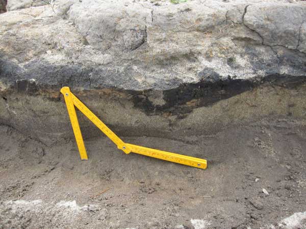 Sand laid down by the 869 AD Jōgan tsunami. (Photo Dave Tappin)