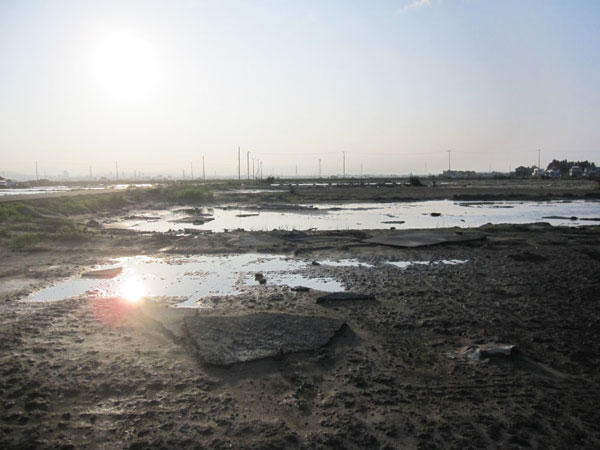 Figure 3: Flooded paddy fields near Arahama. (Photo Dave Tappin)
