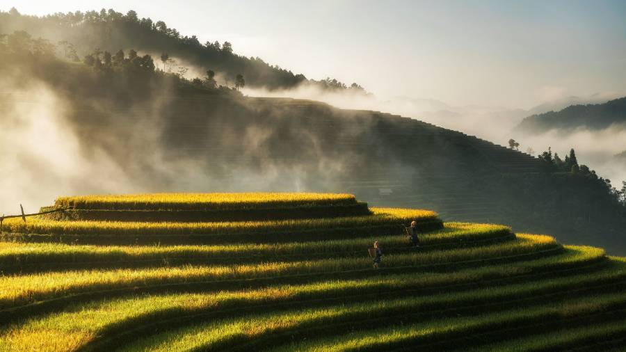 Vietnam Sapa and Northern Highlands