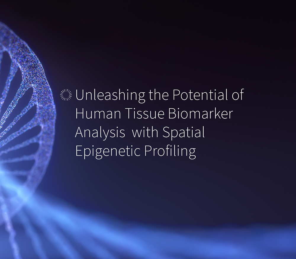 A graphic for a blog about spatial epigenetic profiling