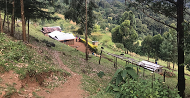 Sampling Nandi Hills