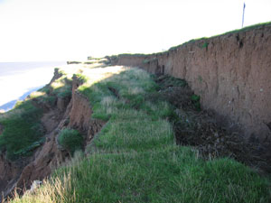 The cliffs at Aldbrough.