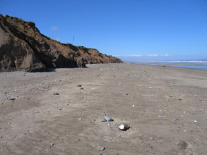 The cliffs at Aldbrough.