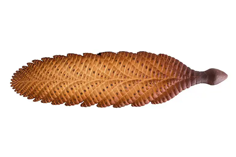 Reconstruction of C. masoni by Matteo De Stefano/MUSE. This file is licensed under the Creative Commons Attribution-Share Alike 3.0 Unported license.