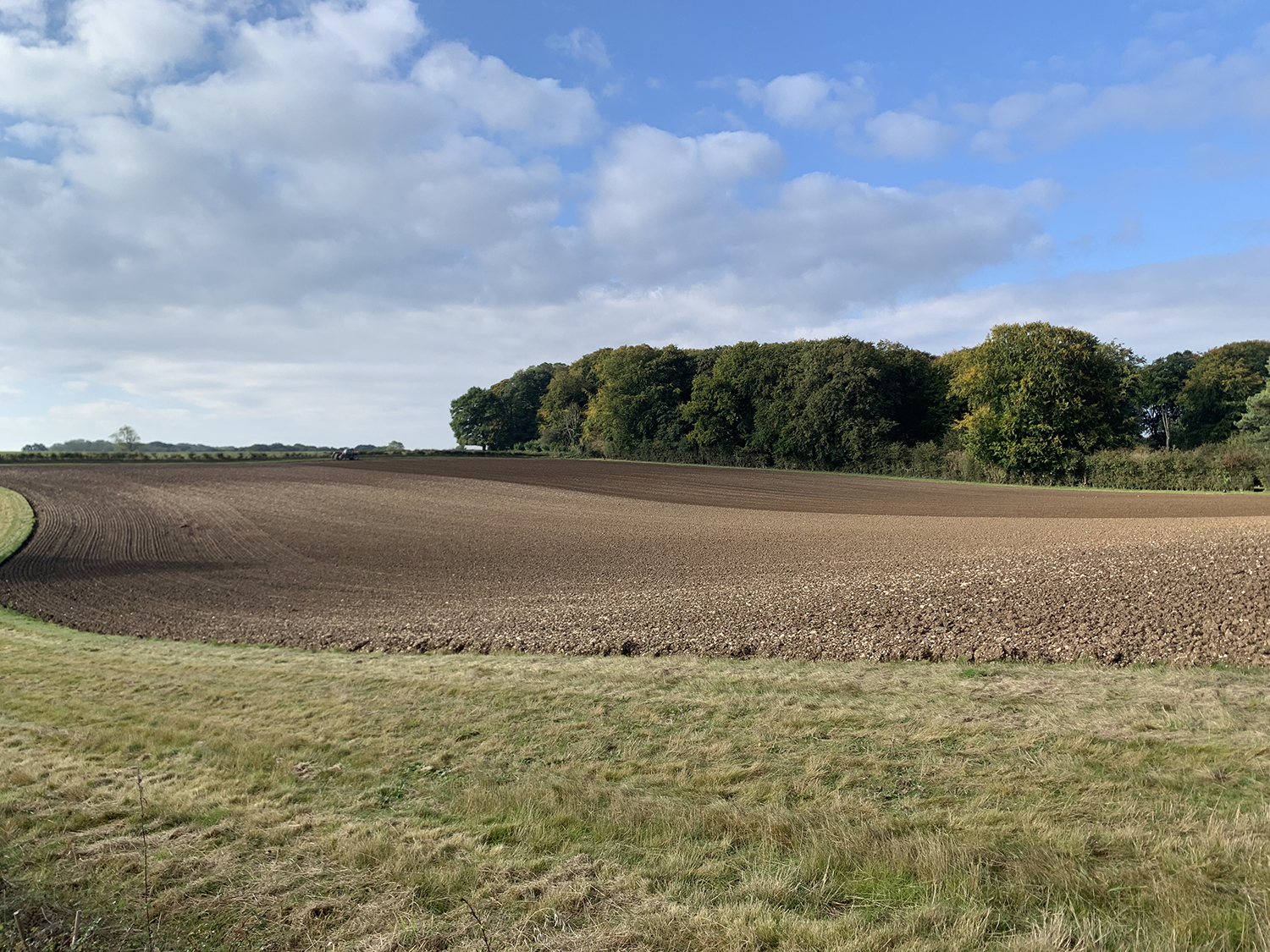 The typical Yorkshire Wolds farmland landscape: a dry valley with chalk bedrock sides.