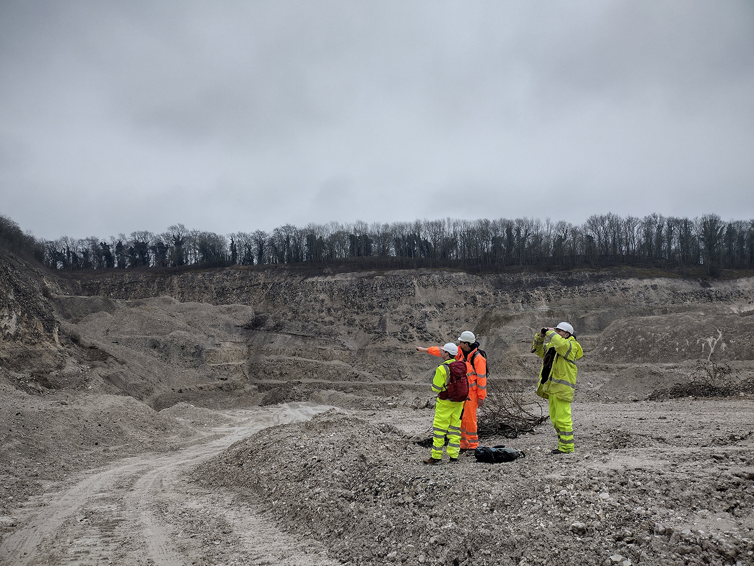 A group of people in hi-vis and hard hats standing in a chalk quarry