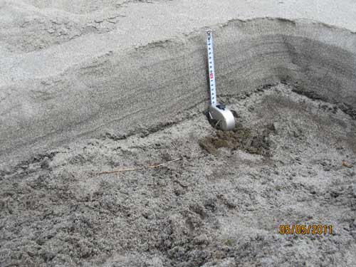 Japan tsunami 2011. Sediment laid down during tsunami flooding.