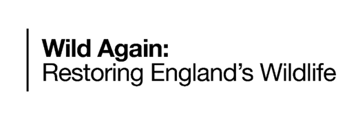 The Wild Again: Restoring England's Wildlife logo
