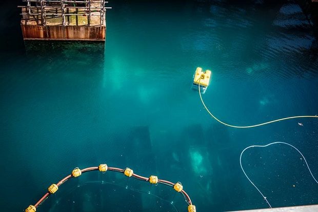 Remotely Operated Vehicle (ROV) in First Generation Magnox Storage Pond (FGMSP)