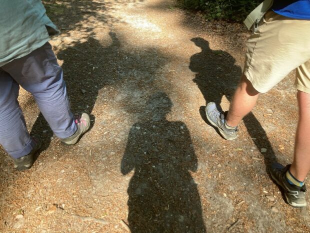 Ethnography in practice: shadowing a government farming adviser in the field.