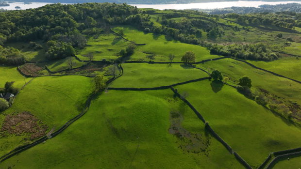 Aerial view of fields, hedgerows and woodland