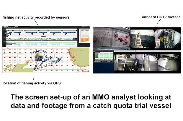 catch quota trial screens
