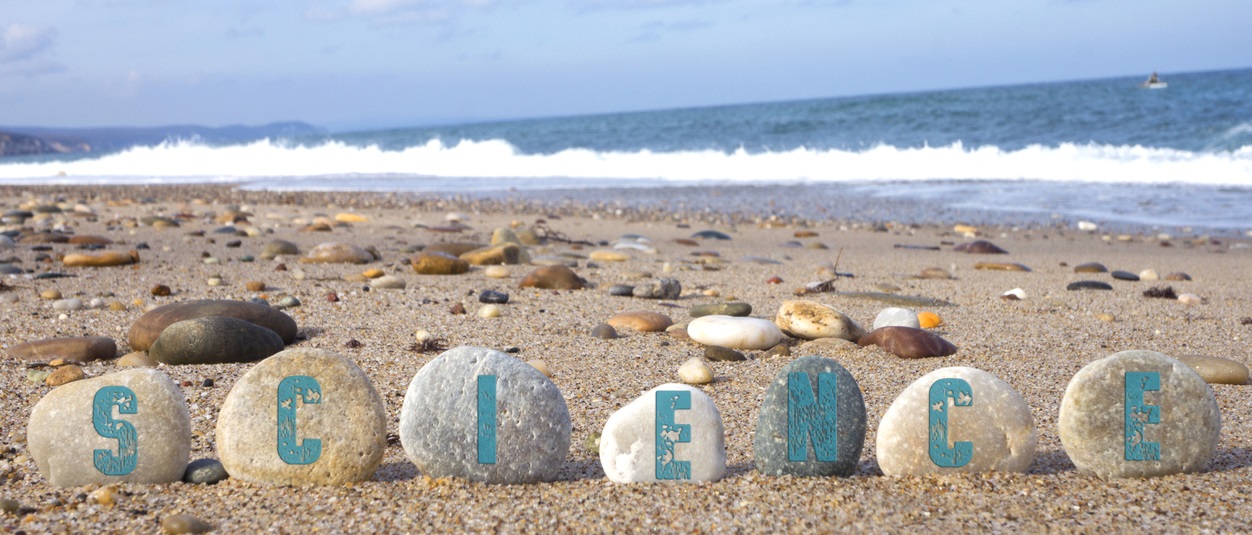 Science Concept with Balanced Stones on beach
