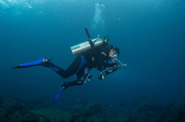 Blue Belt St Helena marine conservation