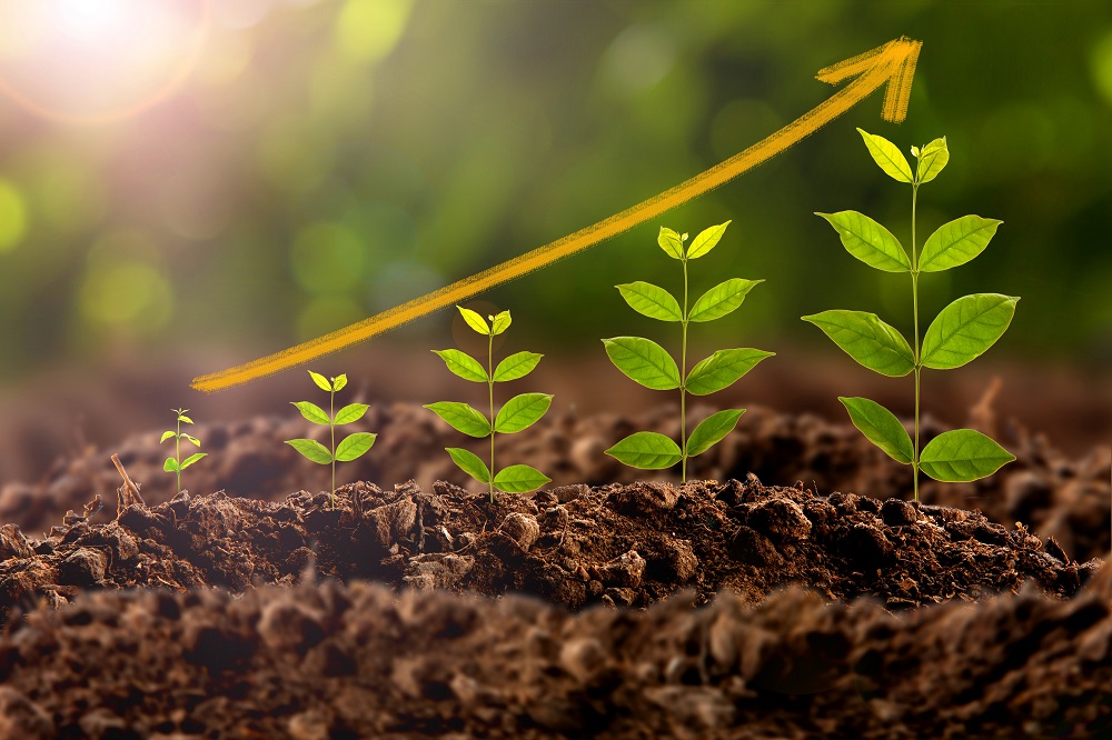 Five small plants of ascending height grow in a row in brown soil. Above them is an orange arrow. Credit: iStock