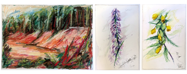 Art by Suzanne Holtom created after attending a Bee Safari organised by the Purple Horizons partnership: left a bee bank, centre: heather and gorse, right: yellow rattle.