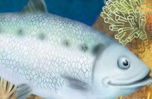 Section of the Allis Shad book cover, picture shows an illustrative fish.