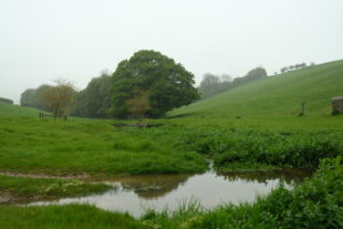 A view from the edge of pond looking across to the exiting stream that flows down a luscious valley with trees in the distance