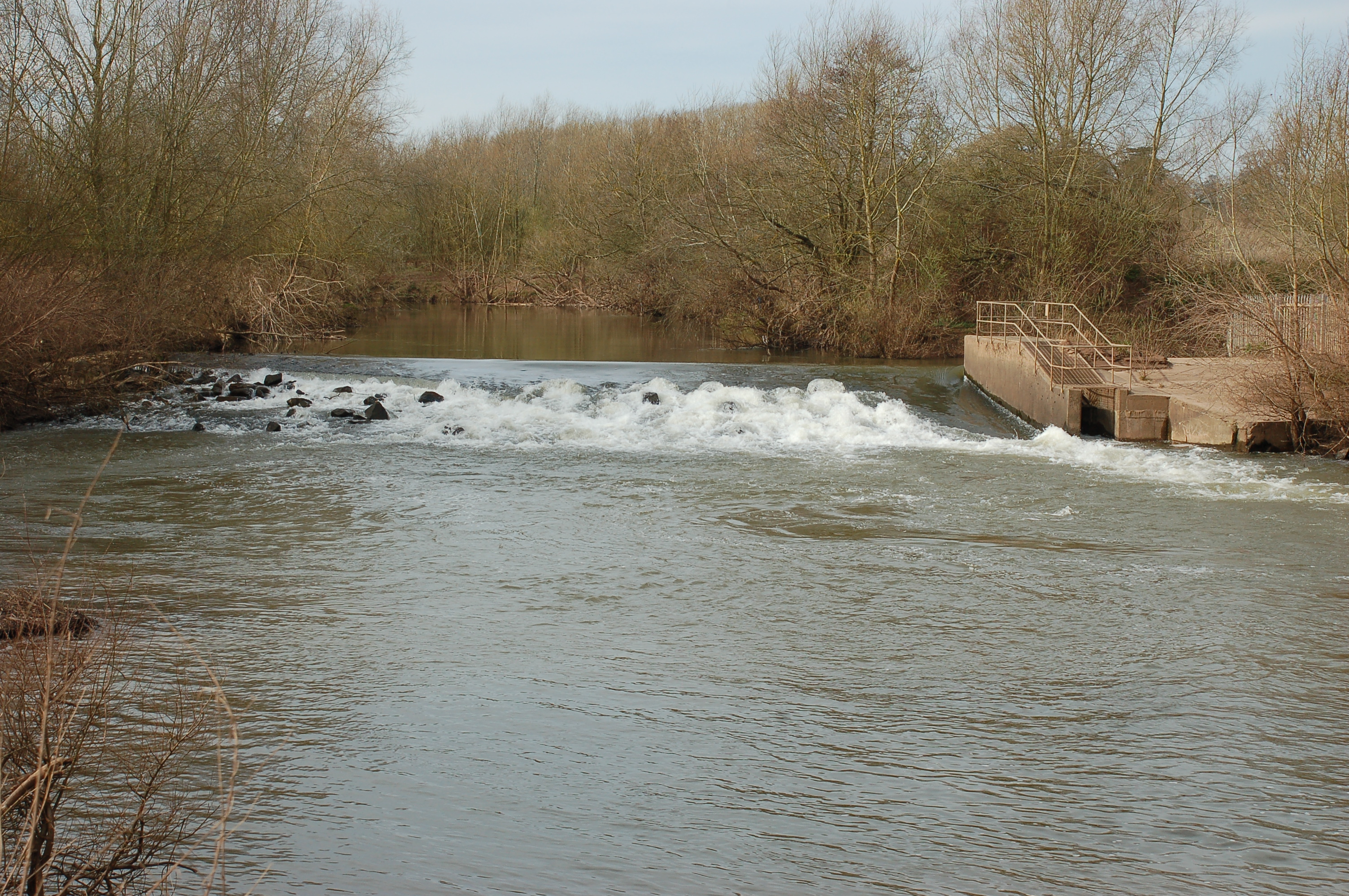 Work will be undertaken on 7 weirs to enable fish to move more easily up the river. Credit: Canal and River Trust.