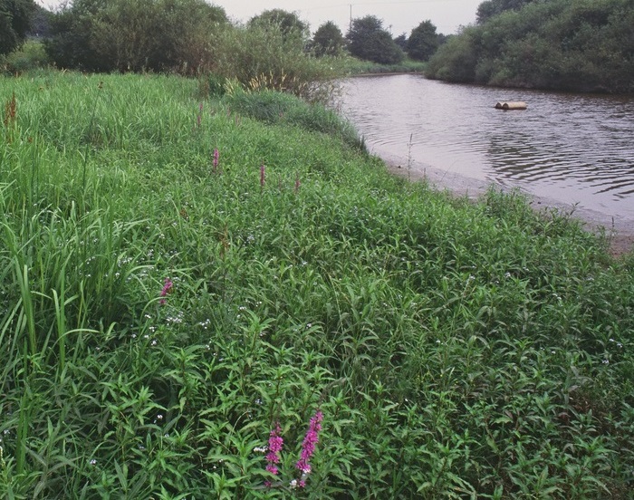The River Severn is the UK’s longest river