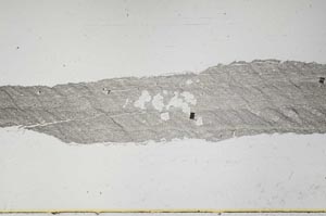 Plane Polarized, S47943/A
