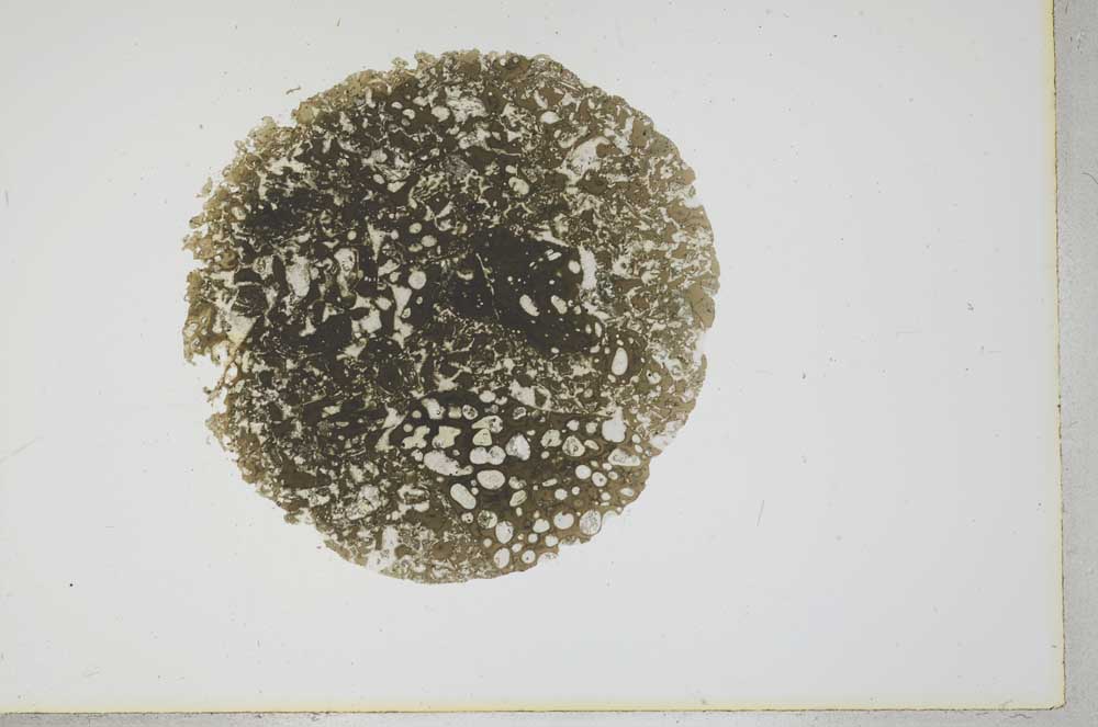 Plane Polarized, S18036