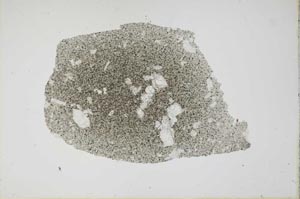 Plane Polarized, S17887