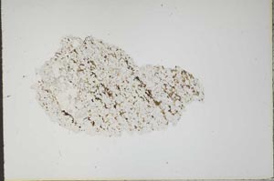 Plane Polarized, S15832