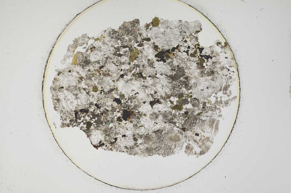 Plane Polarized, S12748
