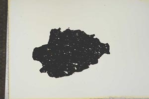 Plane Polarized, S14971